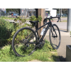 Trek Domane AL4 2023